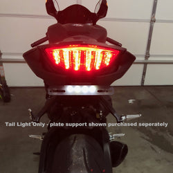 Custom LED 2017-2026 CBR-1000RR Blaster-X Integrated LED Tail Light - Clear Lens